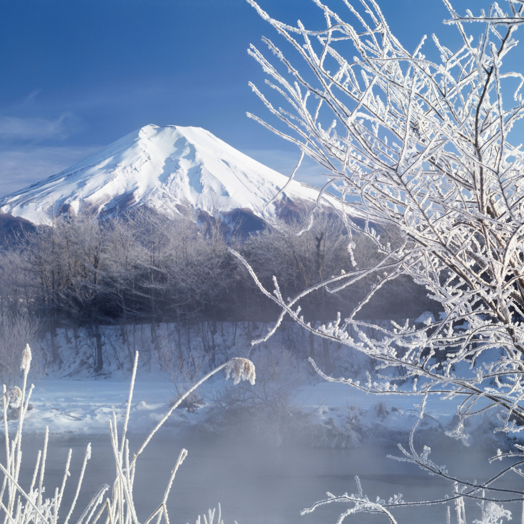 北海道冬季玩什麼？賞雪、泡湯完整景點告訴你